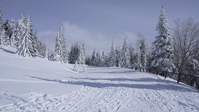 在寒冷的阳光明媚的天气里，滑雪游览覆盖在雪中的岩石山脉景观视频素材