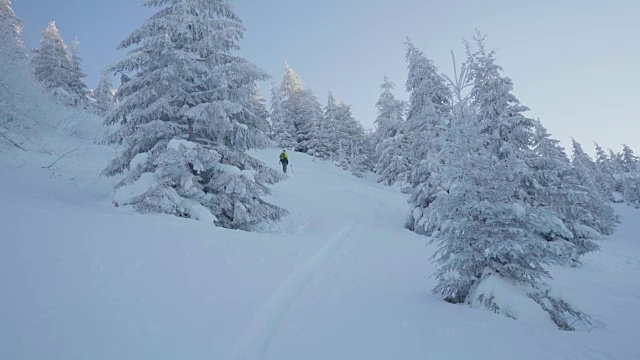 冬季日落时，冰雪覆盖的景观和山上的树木视频素材