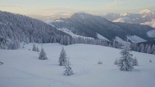 冬季日落时，冰雪覆盖的景观和山上的树木视频素材