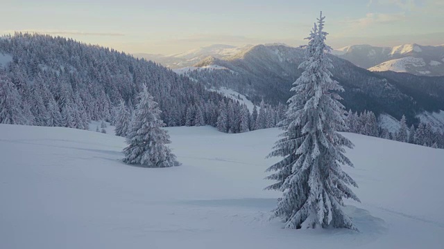 冬季日落时，冰雪覆盖的景观和山上的树木视频素材