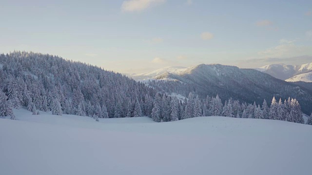 冬季日落时，冰雪覆盖的景观和山上的树木视频素材