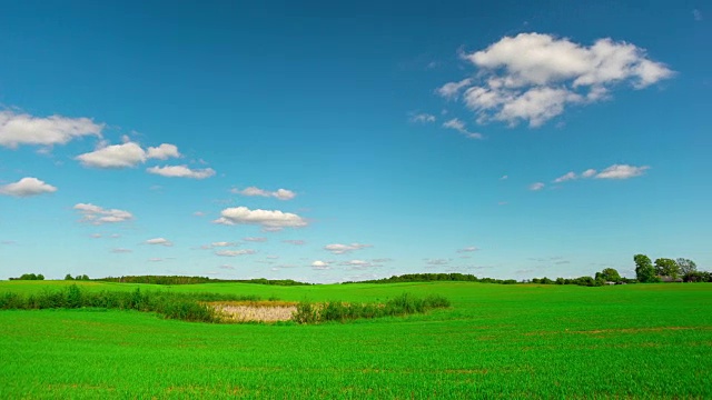 夏季景观，全景延时视频素材