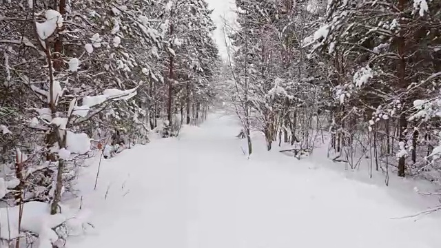 走在冬日雪地里的小路上视频素材