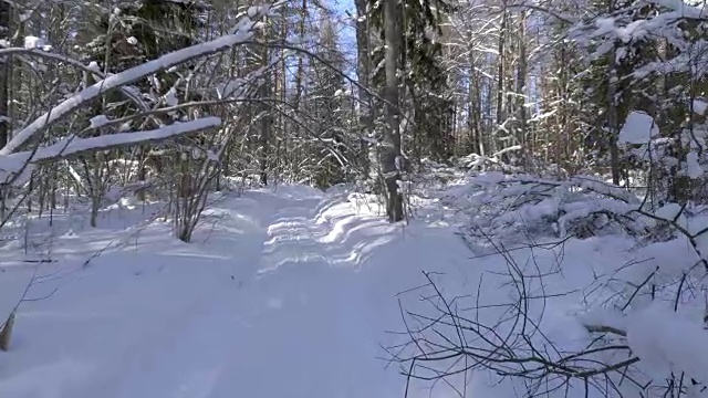 走在冬日雪地里的小路上视频素材