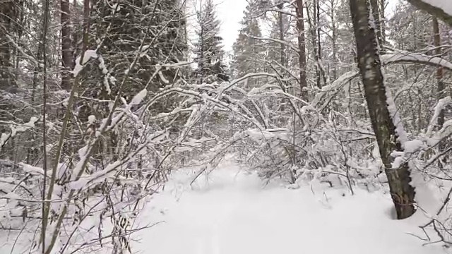 走在冬日雪地里的小路上视频素材