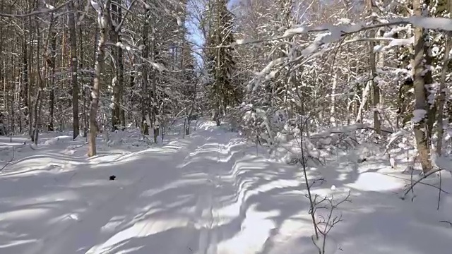 走在冬日雪地里的小路上视频素材