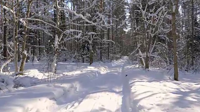 走在冬日雪地里的小路上视频素材