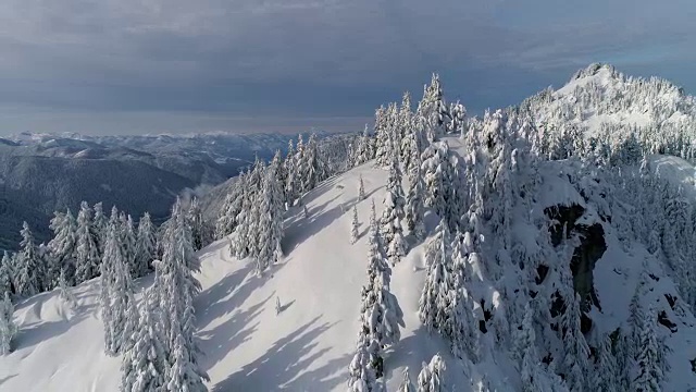 美丽的喀斯喀特山脉空中华盛顿冬季雪视频素材