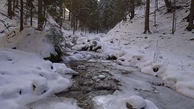 冬季森林中的山涧视频素材