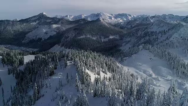 直升机的高角度拍摄冬季积雪覆盖的山林视频素材