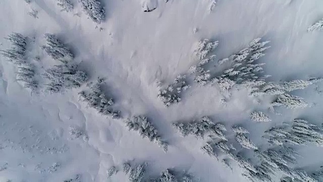 穆迪粉雪空中架空简单的山树和悬崖视频素材