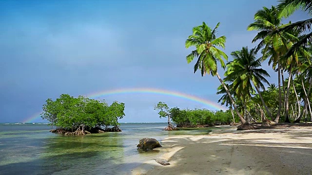 加勒比海上的五彩彩虹和绿色棕榈树。旅游的背景视频素材