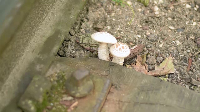 铁轨的视频片段，软焦点，极端近距离，垂直全景视频素材