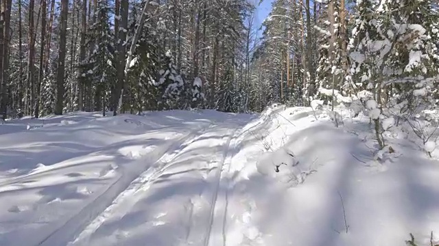 走在冬日雪地里的小路上视频素材