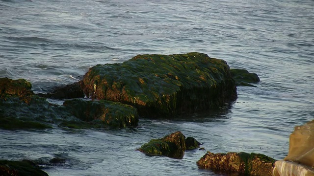 海浪拍打海洋岩石(高清)视频素材