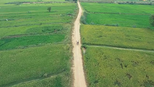 无人机拍摄:将一名骑摩托车的农民倾斜到穿过稻田的土路上视频素材