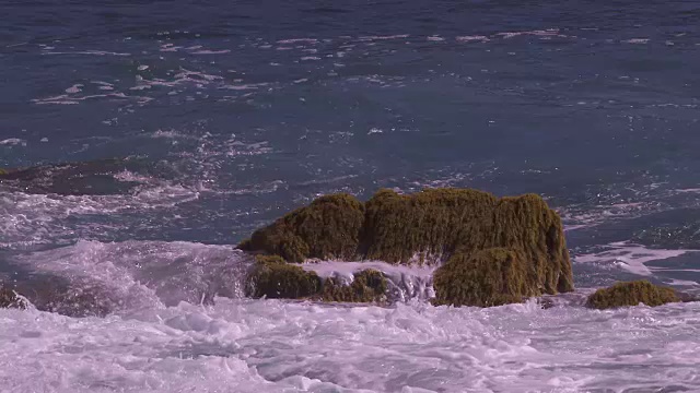 海浪用海藻撞击岩石视频素材