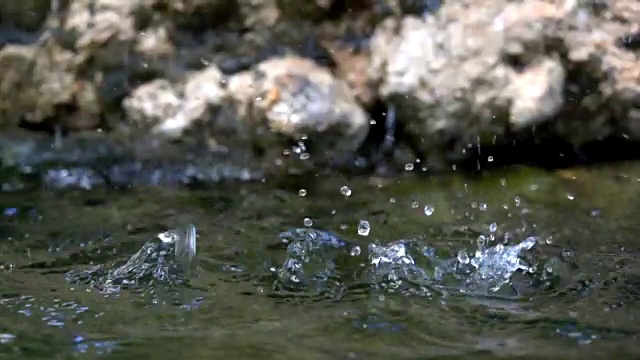 水滴落在水花上视频下载