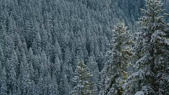 下雪的风景视频素材