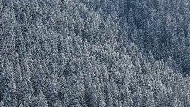 下雪的风景视频素材