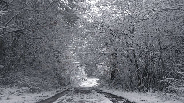 冬天下雪的乡间小路和树间小路。视频素材