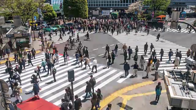 涩谷十字路口的人群视频素材