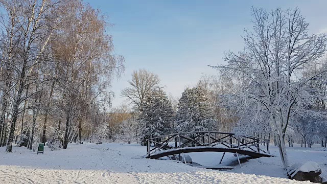 第一场雪在市公园搭了一座桥视频素材