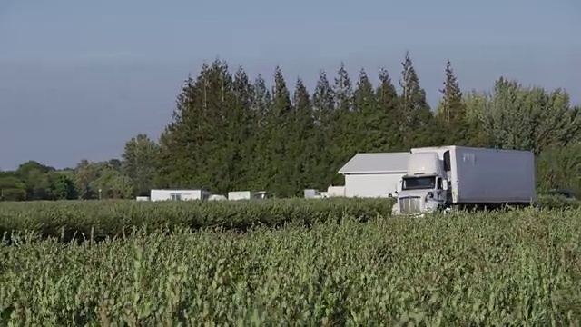 在乡村公路上行驶的半挂车。视频素材