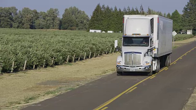 在乡村公路上行驶的半挂车。视频素材