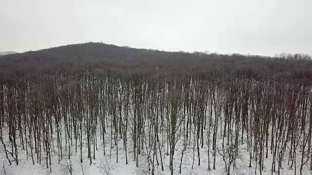 冬季森林。天线。无人机镜头冰雪冬天森林空中。视频素材