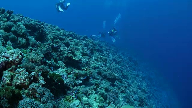 水下珊瑚礁视频素材