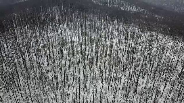 冬季森林。天线。无人机镜头冰雪冬天森林空中。视频素材