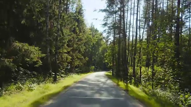 在森林道路上开车视频素材