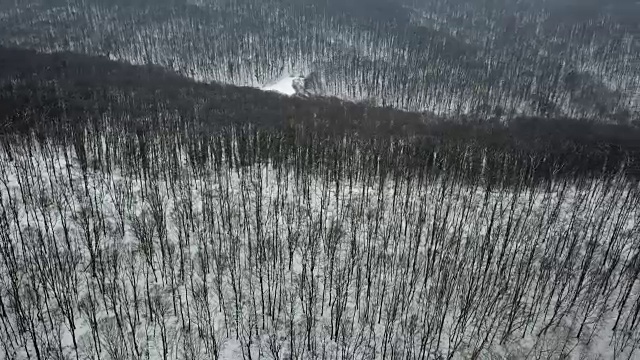 冬季森林。天线。无人机镜头冰雪冬天森林空中。视频素材