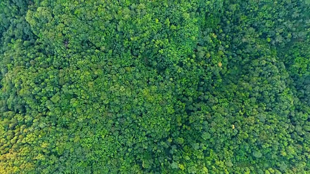 高山和森林的顶视图。视频素材