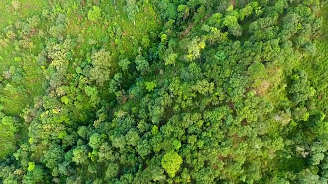 高山和森林的顶视图。视频素材