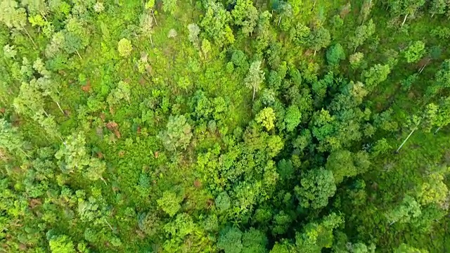 高山和森林的顶视图。视频素材