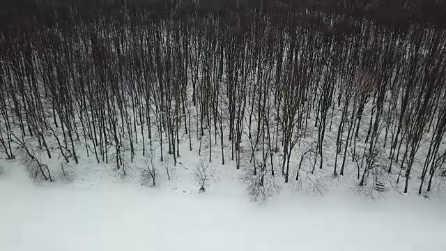 冬季森林。天线。无人机镜头冰雪冬天森林空中。视频素材