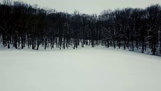 冬季森林。天线。无人机镜头冰雪冬天森林空中。视频素材