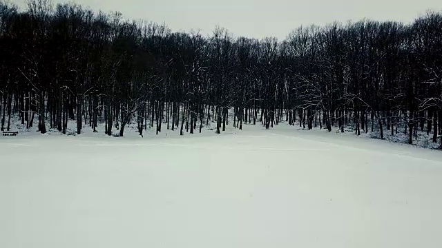 冬季森林。天线。无人机镜头冰雪冬天森林空中。视频素材