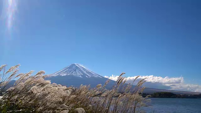 从日本川口町湖眺望富士山视频素材