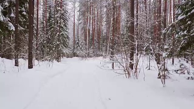 走在冬日雪地里的小路上视频素材