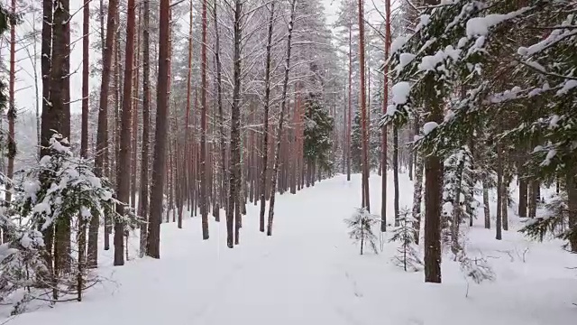 走在冬日雪地里的小路上视频素材