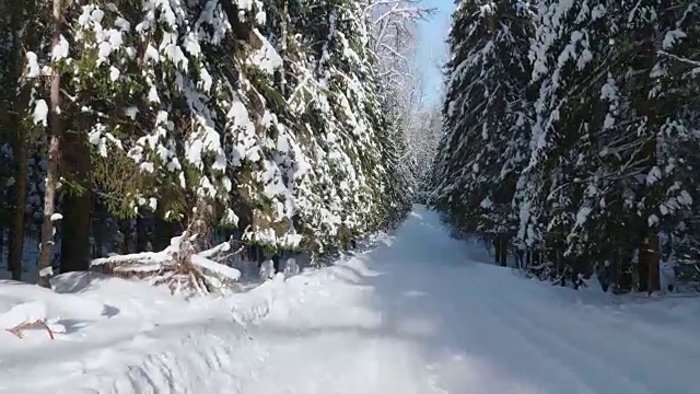 走在冬日雪地里的小路上视频素材