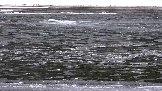 冬季阿尔泰山卡顿河浮冰和淤泥视频素材