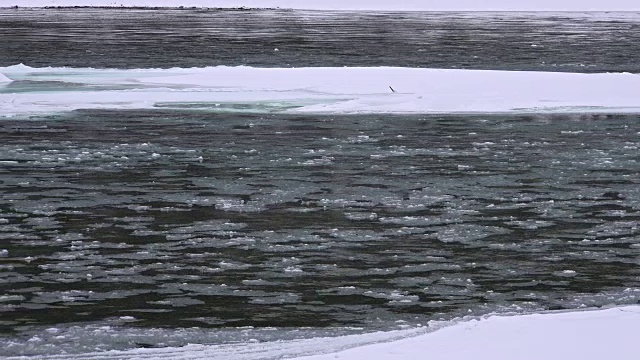 冬季阿尔泰山卡顿河浮冰和淤泥视频素材