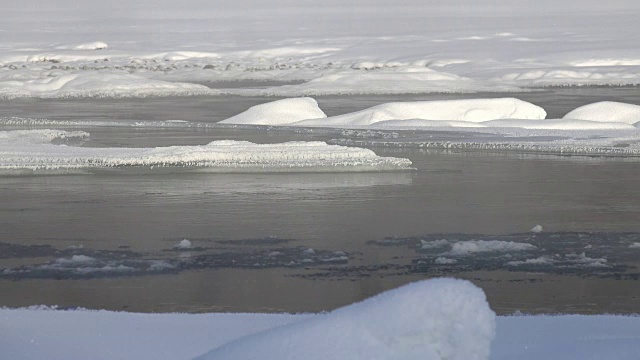 冬季阿尔泰山卡顿河浮冰和淤泥视频素材