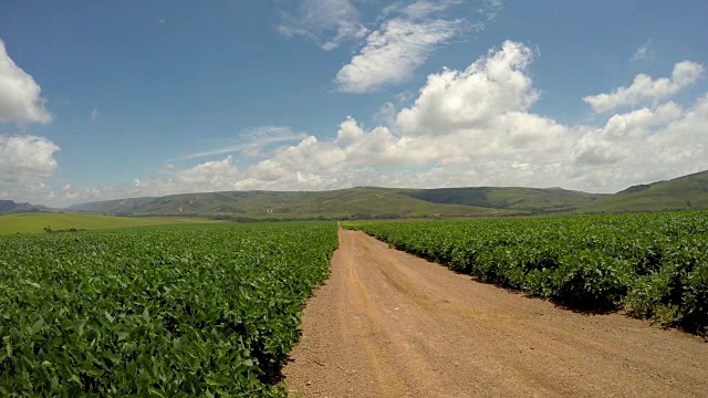 巴西山区大豆种植园路视频素材