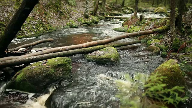 山河在绿林中视频素材