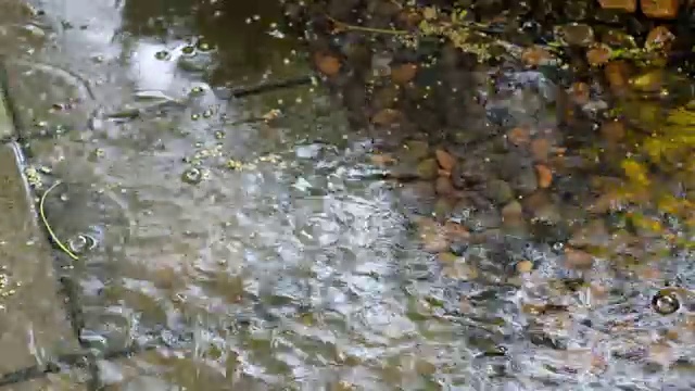 下雨时，花园道路积水视频素材